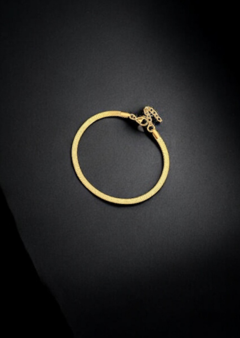 Snake Chain Anklet